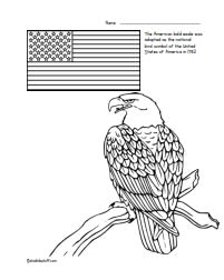 Bald Eagle U.S.A.National Bird Symbol color page