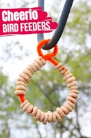 Cheerio Bird Feeder
