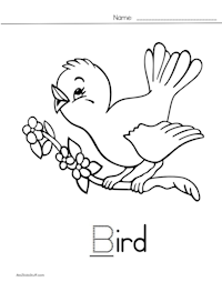 B Bird
