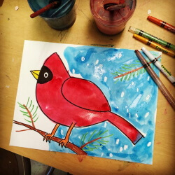 Draw A Cardinal