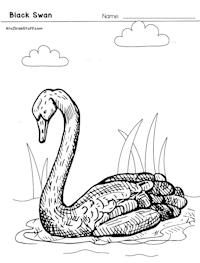 Black Swan Coloring Page