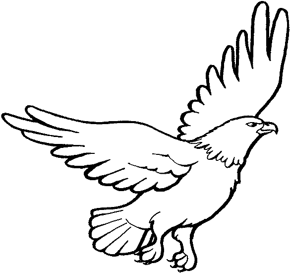 eagle flying coloring pages - photo #26