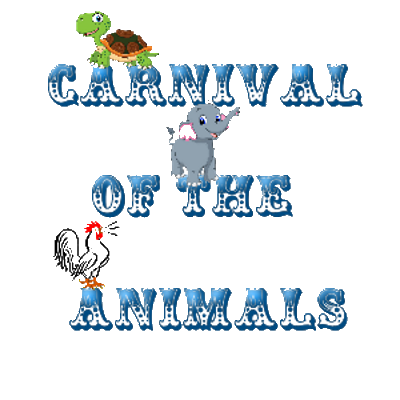 Carnival of the Animals activities