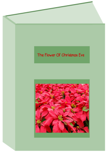 The Flower Of Christmas Eve Story