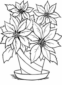 Poinsettia Color Page