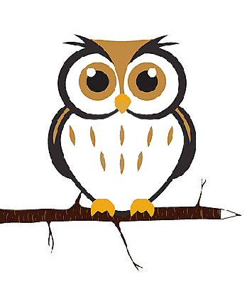Owls Preschool Kindergarten theme