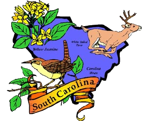 South Carolina Symbols