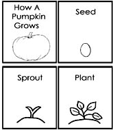 How A Pumpkin Grows Mini Book