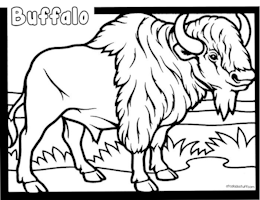 Buffalo Coloring Page