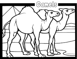 Camels Coloring Page