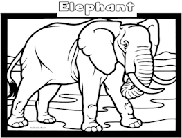 Elephant Coloring