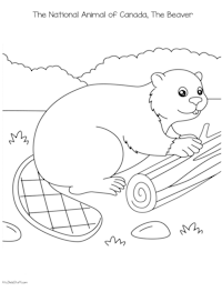 Canada's National Animal, The Beaver coloring page