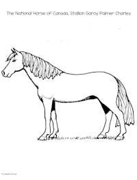 Canada's National Horse Coloring Page
