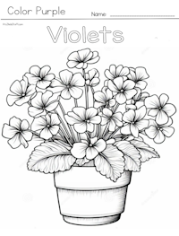 Violets Coloring Page