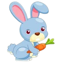 Rabbit Theme Preschool and Kindergarten