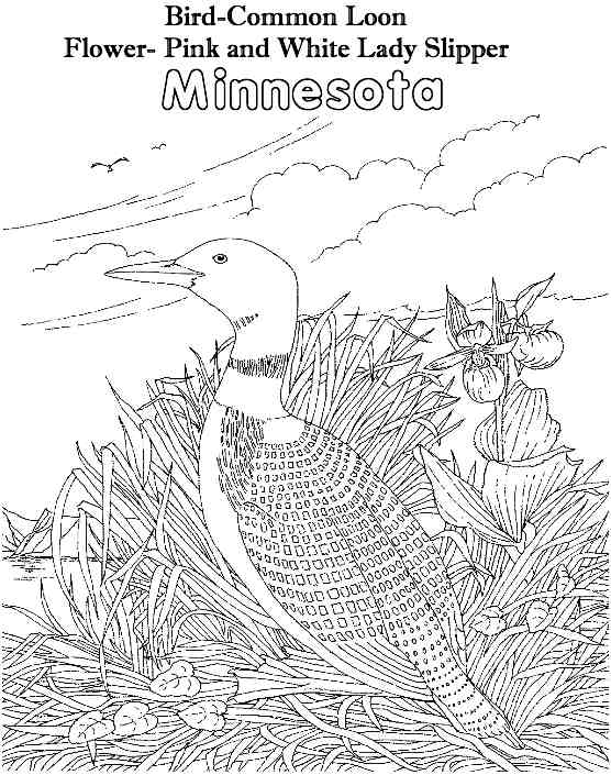 Minnesota color page