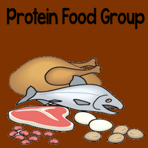 Protein Food Group