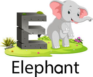 Elephant Theme Preschool Kindergarten